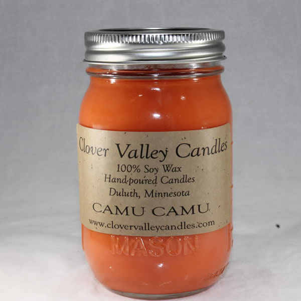 Camu Camu Pint soy wax candle by Clover Valley Candles